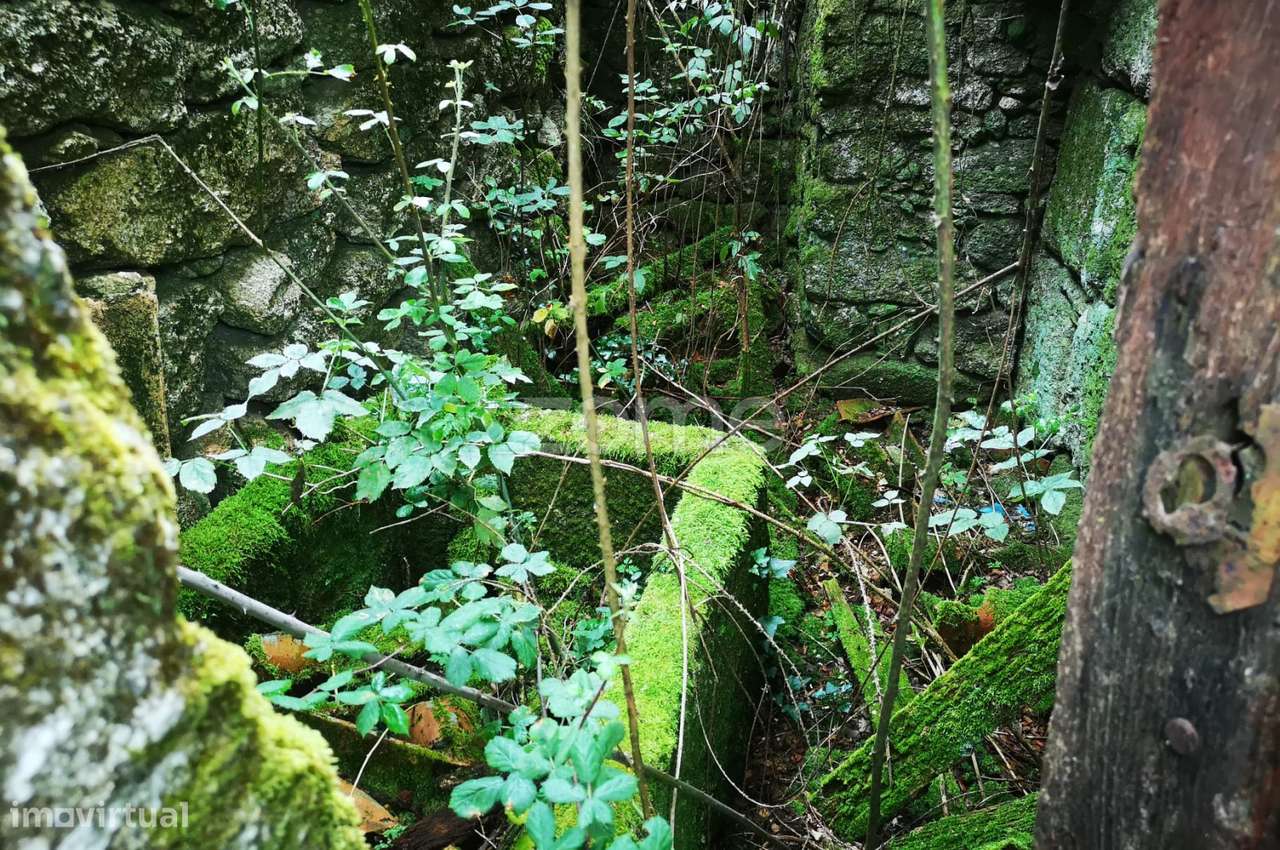 Casa na Pequenina T1 - Grande imagem: 5/26