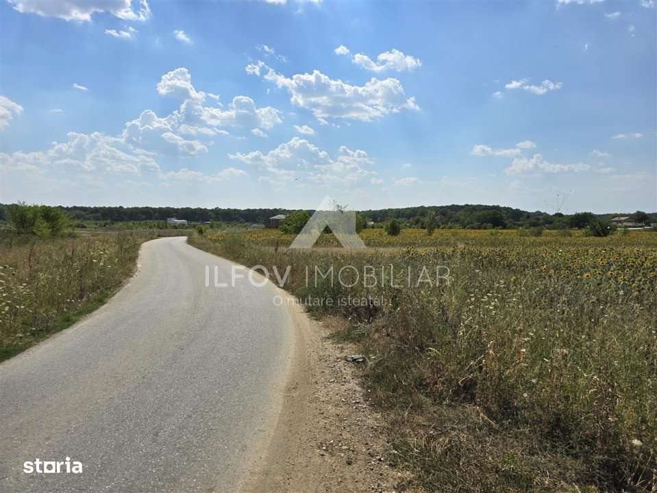 Loturi in rate Ciolpani 536mp + cota drum 188mp - Imagine principală: 5/7