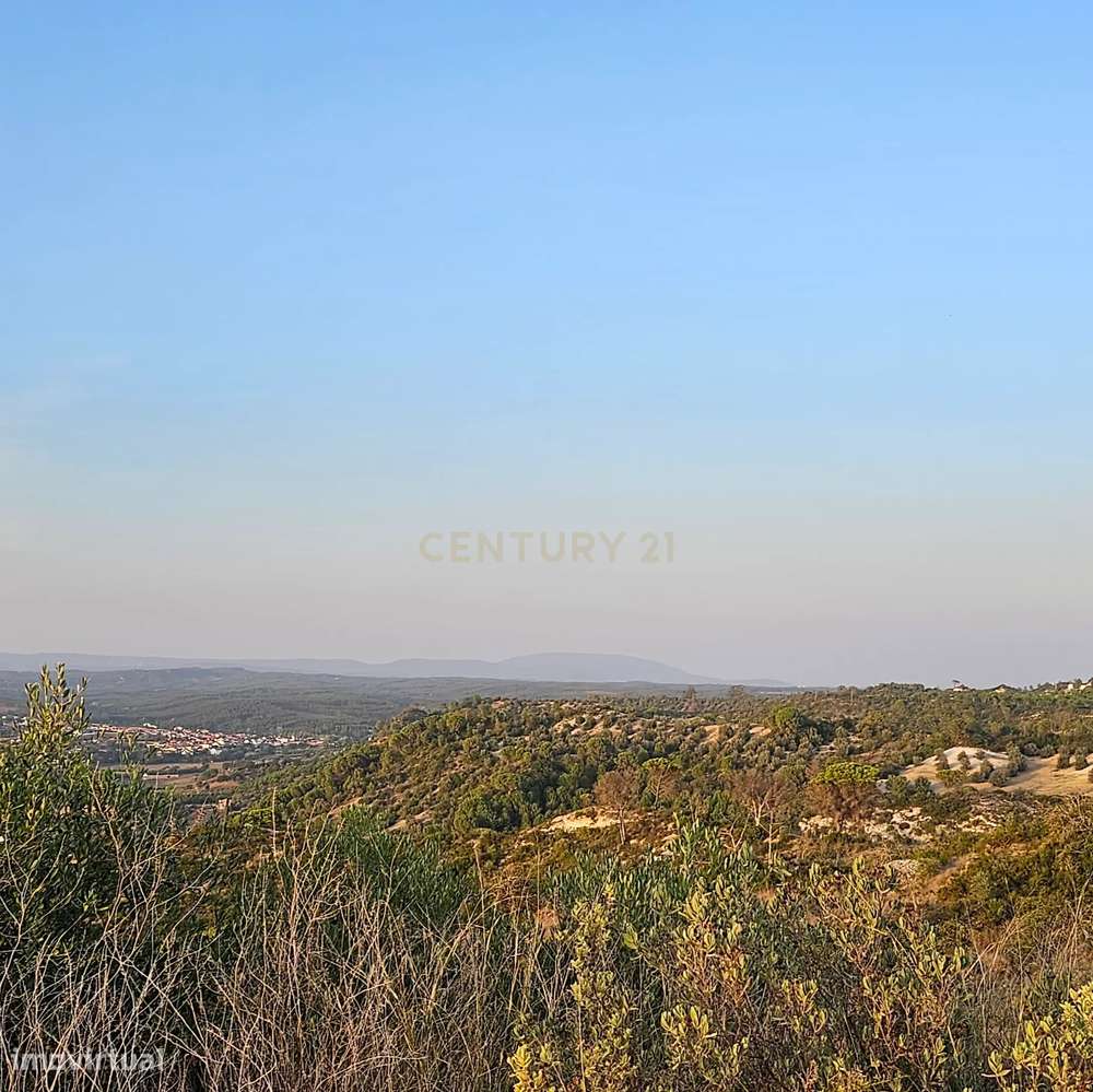 Terreno rústico de 19.720,00 m2 em Abitureiras para vinha e Olival - Grande imagem: 3/12