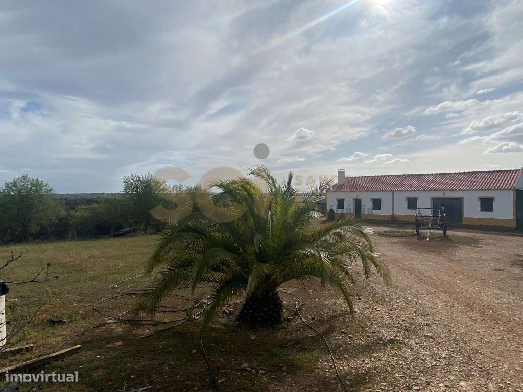 Quinta com cerca de trinta hectares no Alentejo, com monte Alenteja... - Grande imagem: 4/60
