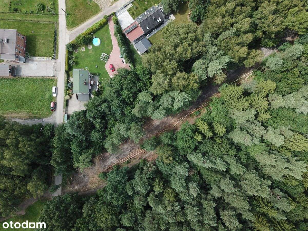 Działka budowlana z lasem / 10 min do A1 - Pełny obrazek: 4/6