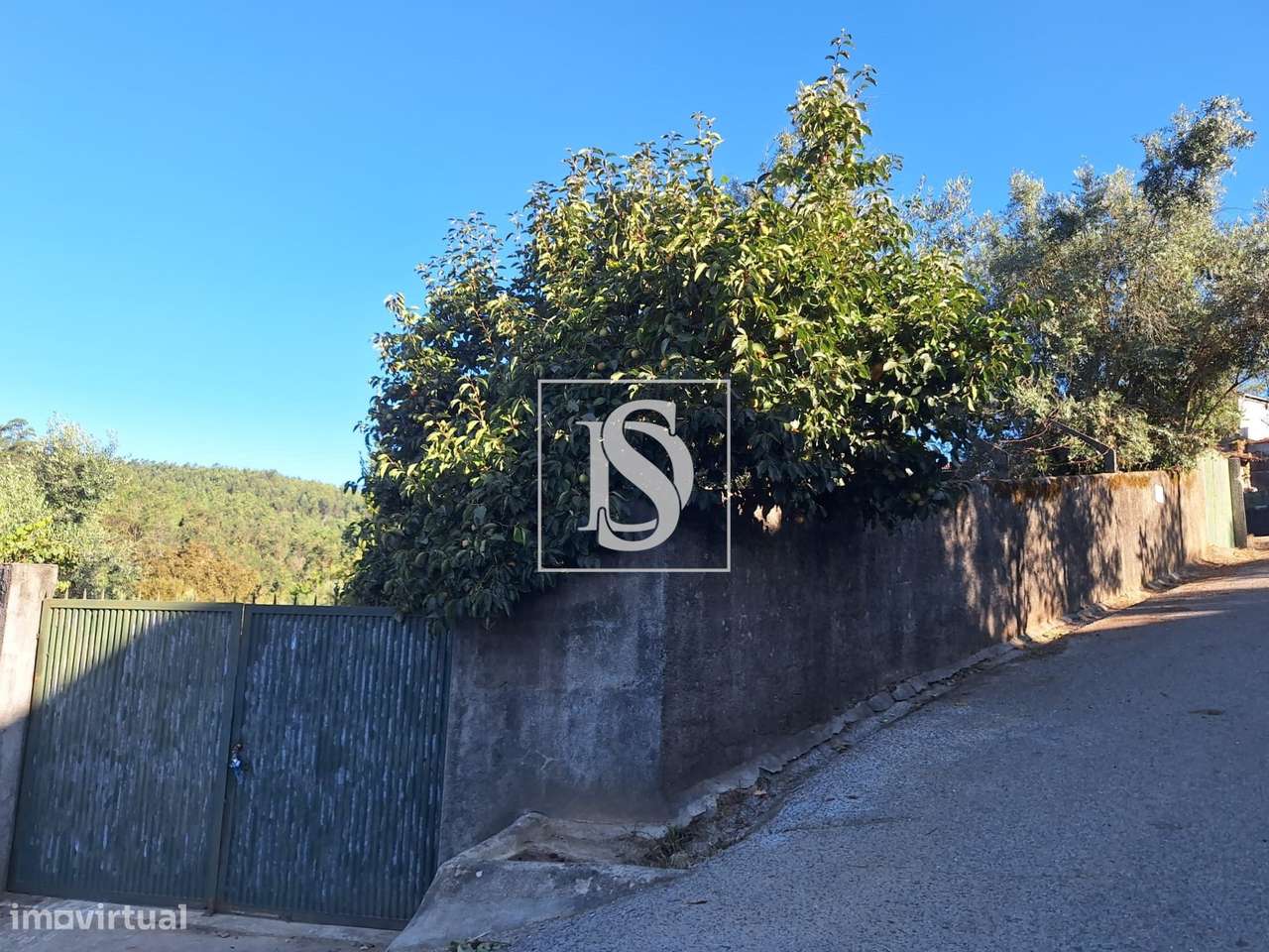 Terreno rústico com 1500m2 nas Sernadas - Grande imagem: 2/23