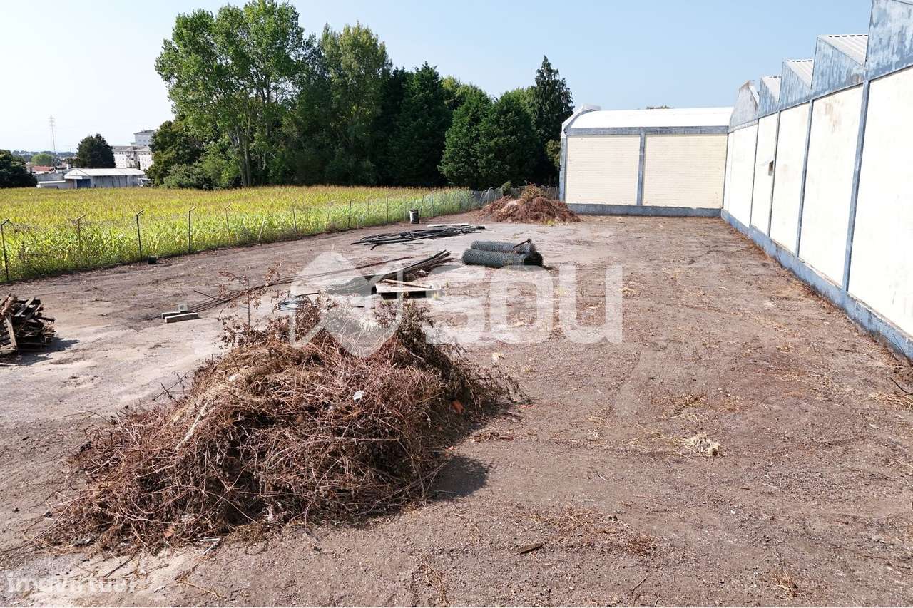 Vende-se Lote junto à N109 com ABC de 1.550m2 - Grande imagem: 5/8