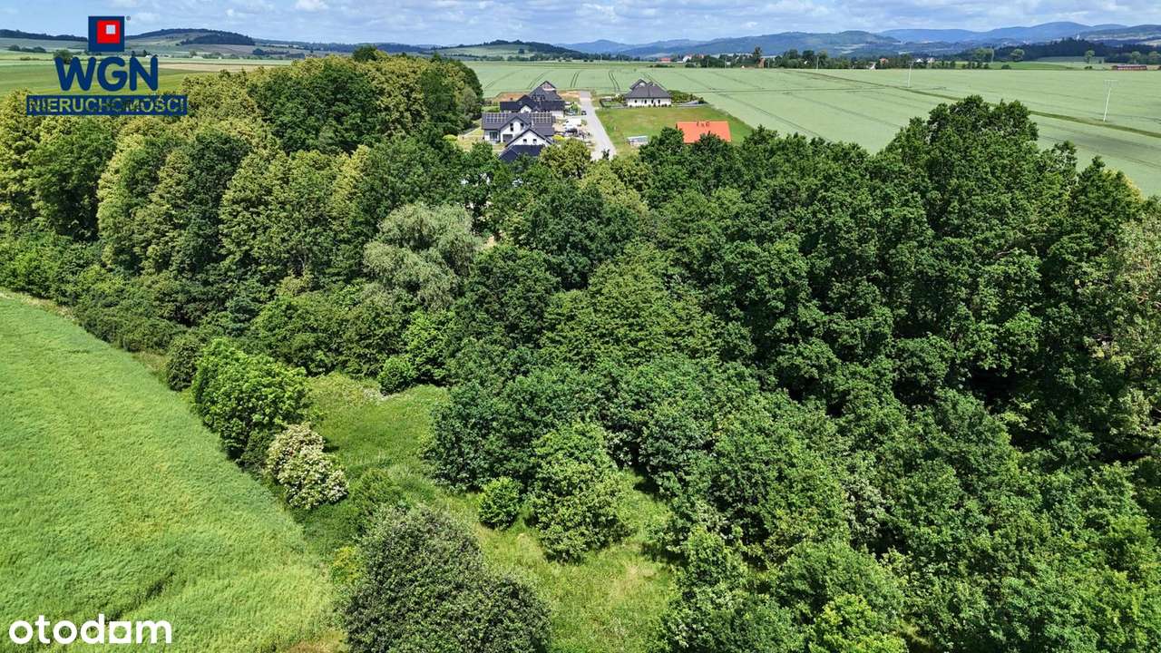Polanica-Zdrój okolice, działka budowlana na sprzedaż. - Pełny obrazek: 4/15