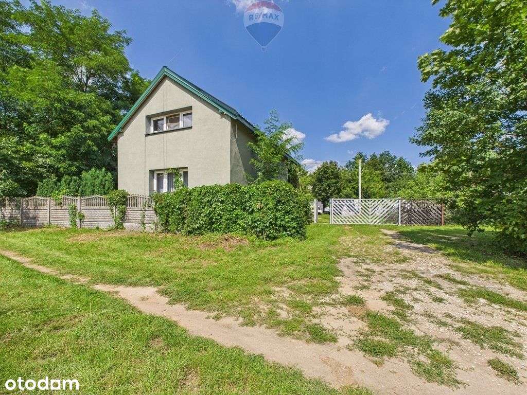 Działka bud-inwest 2,5ha / 800m Suntago - Pełny obrazek: 5/8