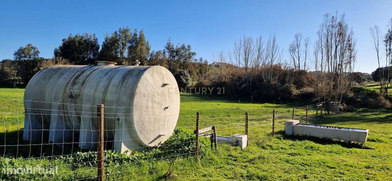 Herdade de 62 Hectares no Coração do Alentejo – Évora  - Agricultura --24