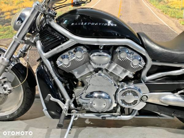 Harley-Davidson Softail V-Rod - 8