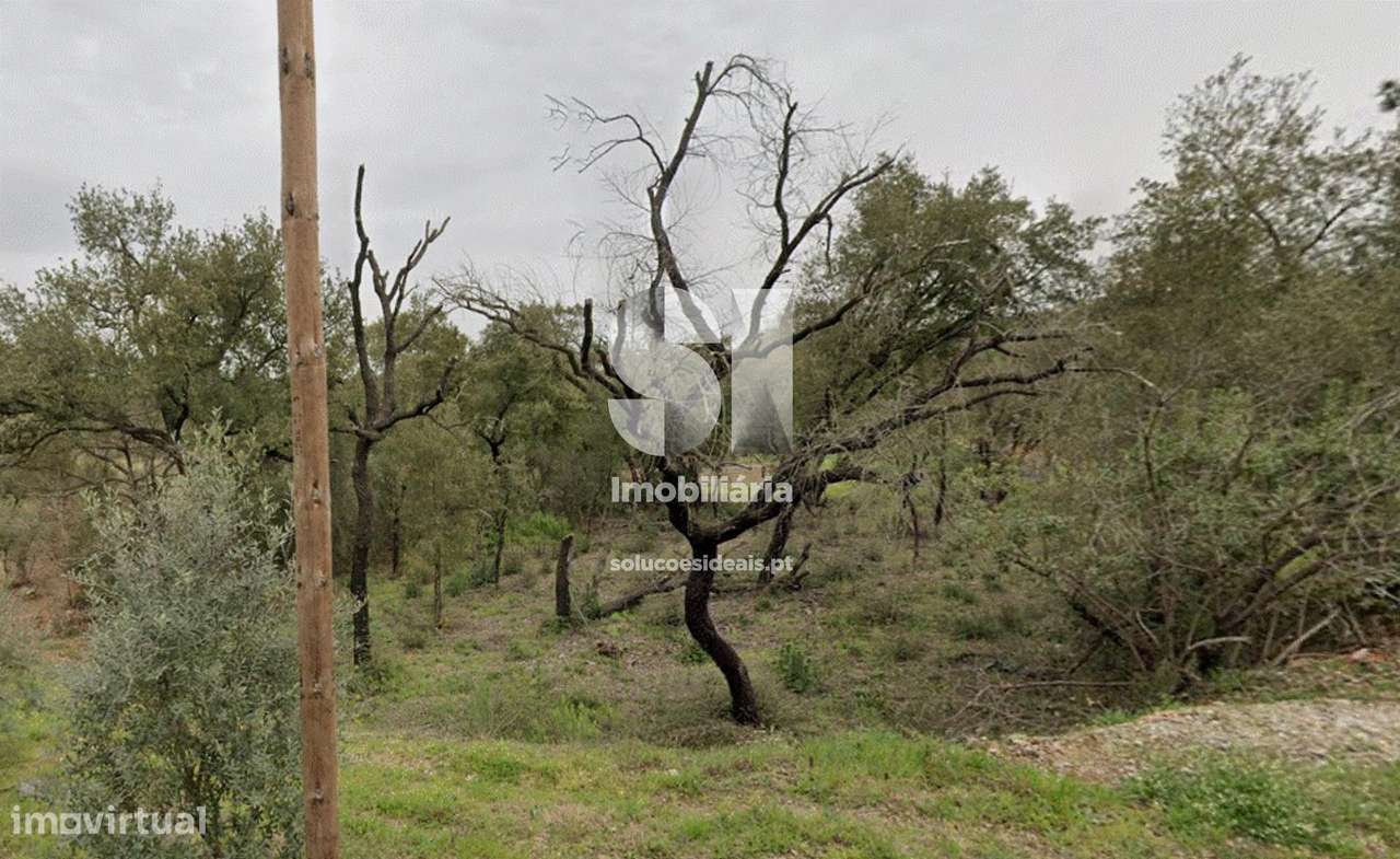 Ótimo terreno p/ construção - Grande imagem: 1/4