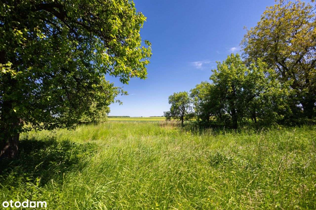 Urokliwe siedlisko z budynkami na działce 61 ar - Pełny obrazek: 5/11