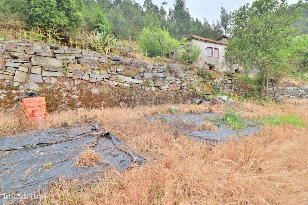 Duas Moradias em Escudeiros c/ aprox. 3.200m2 de terreno-16