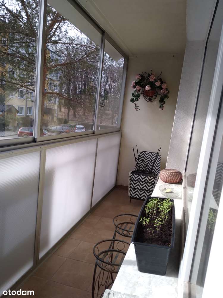 Sprzedam 3 pokojowe mieszkanie na parterze w Giżycku. - Pełny obrazek: 5/16