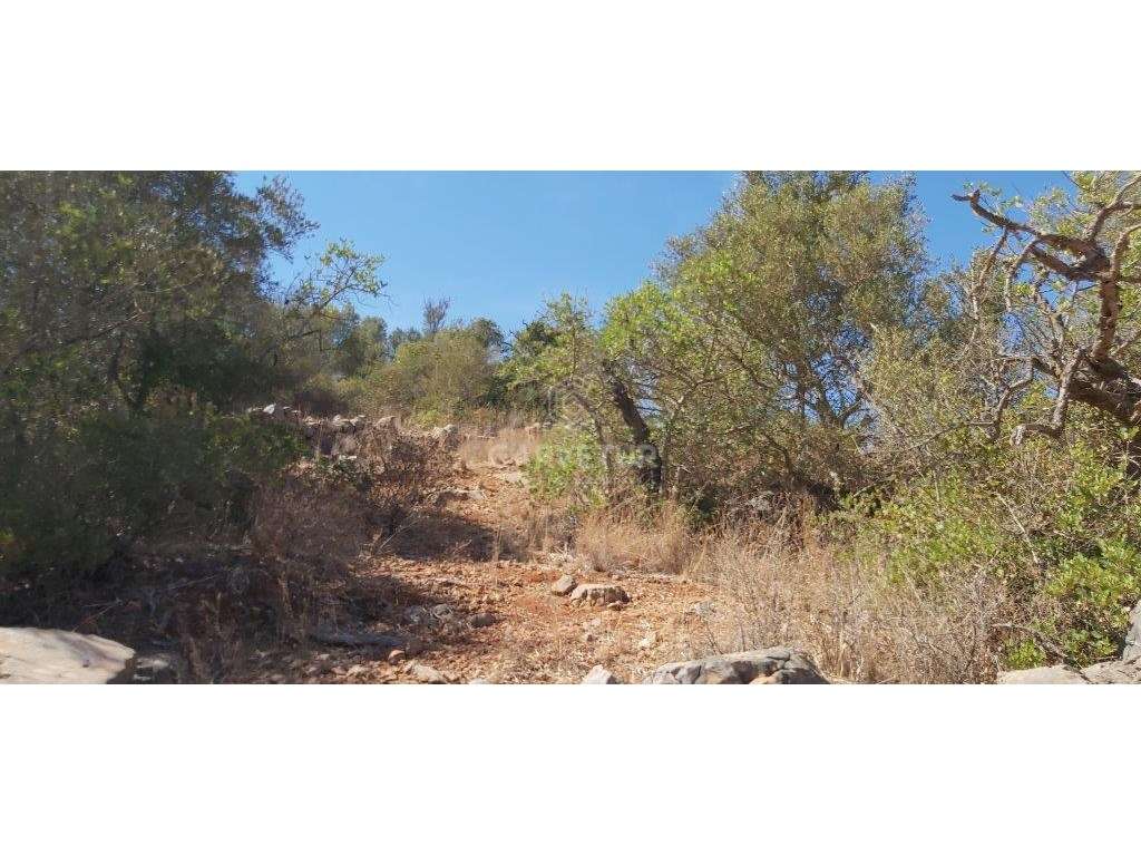 Terreno rústico, em zona agrícola, Matos de Cima, Paderne, Albufeir... - Grande imagem: 4/20