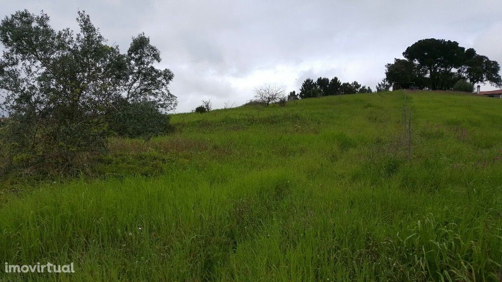 Terreno para venda em Pera - Algarve