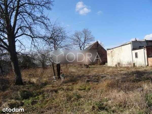 Lokal użytkowy, 300 m², Jelcz-Laskowice - Pełny obrazek: 5/8