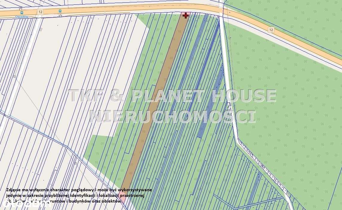 Działka leśna 1.12ha Owadów, Sławno-3