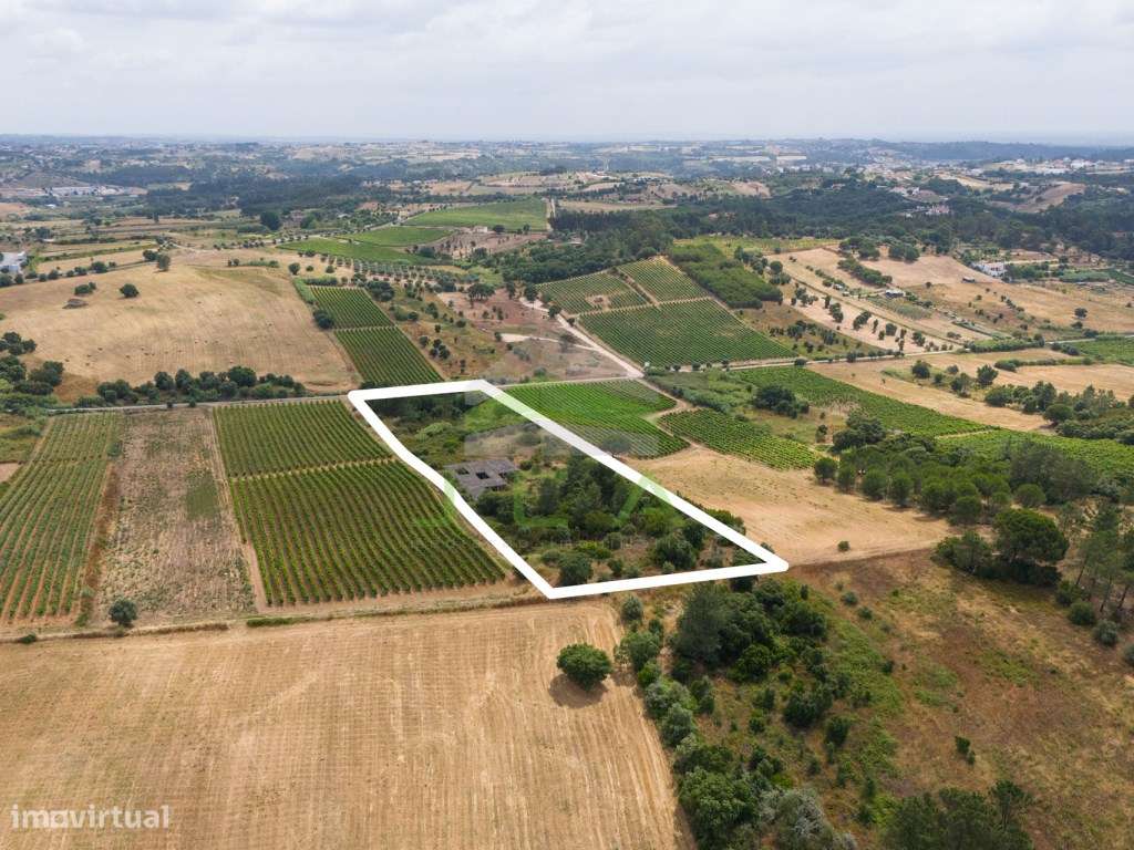 Terreno com 15.840m2 em Aveiras de Cima-16