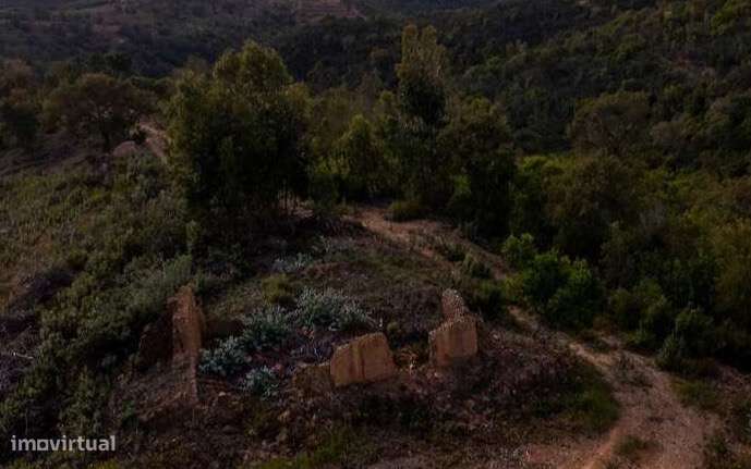 Quintinha Cercas do Pontal - Grande imagem: 5/7