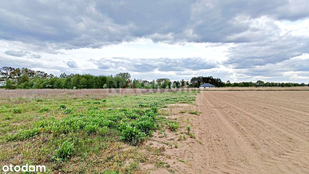 3 działki (120m2) z możliwością zabudowy (wydane WZ) w Górsku! - Pełny obrazek: 4/9