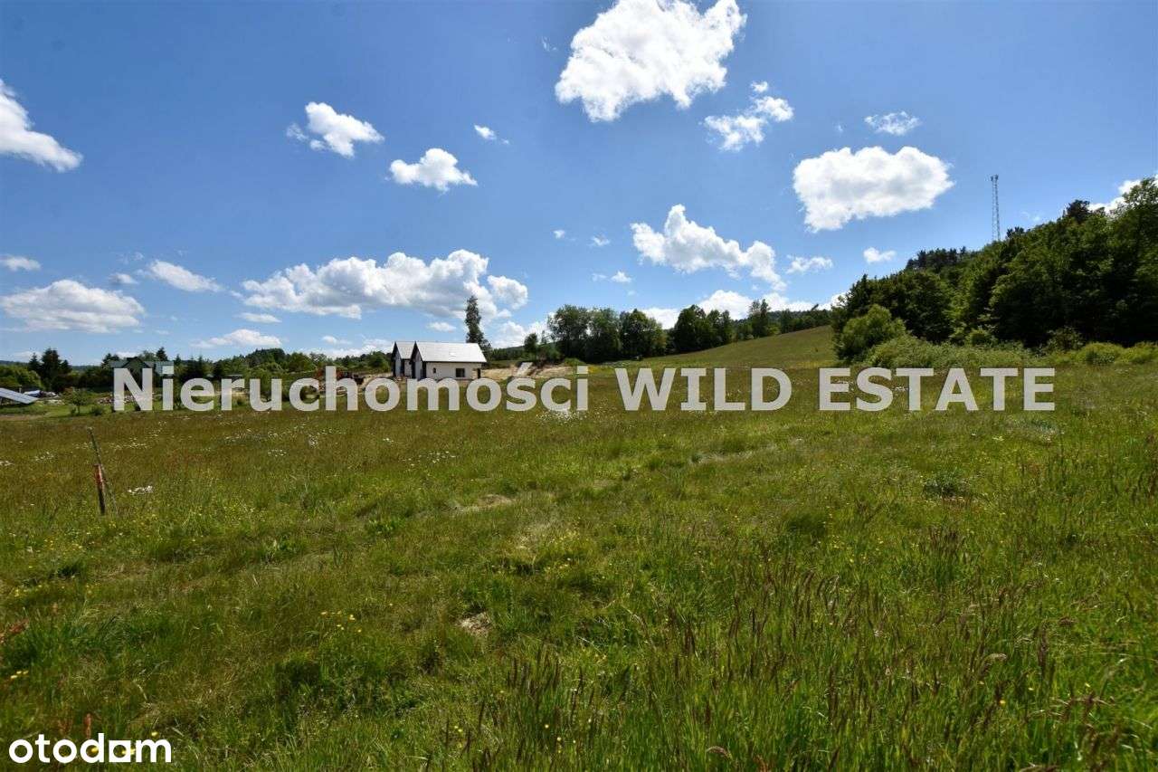 Działka, 52 850 m², Paszowa - Pełny obrazek: 5/10