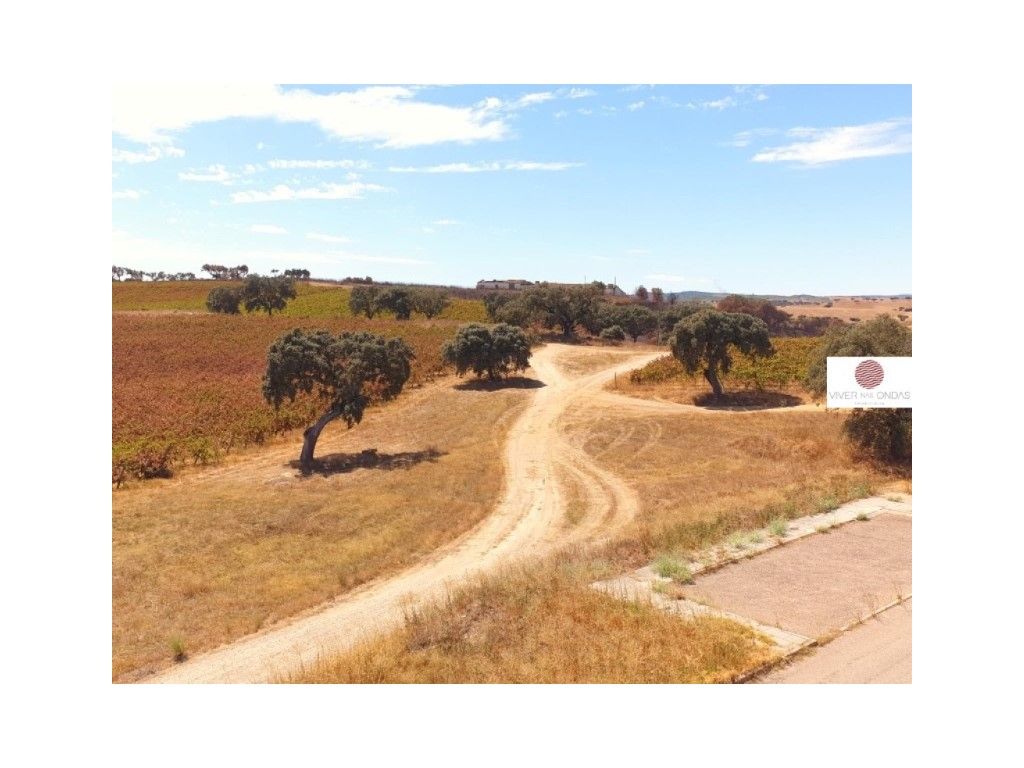 Herdade com 157,3ha em Terrugem - Elvas.