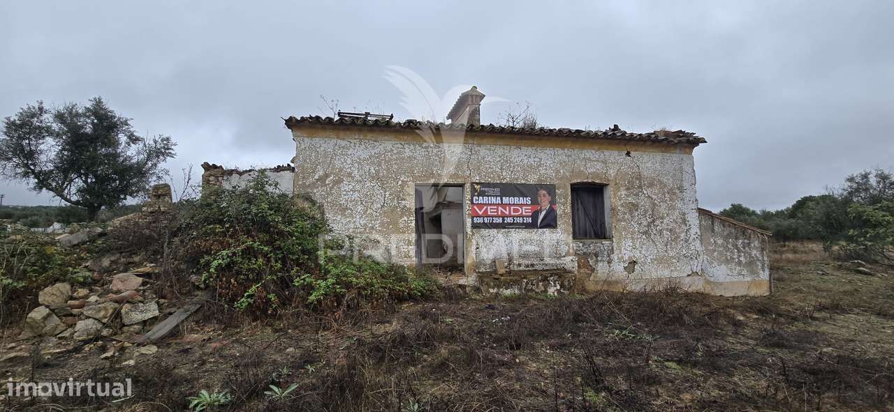 Terreno Rústico em Portalegre - Grande imagem: 2/6