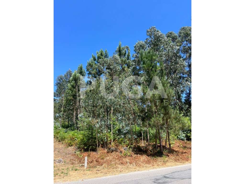 Oportunidade única em Vila Maior - Terreno com 1619m2 e óptima loca...-1