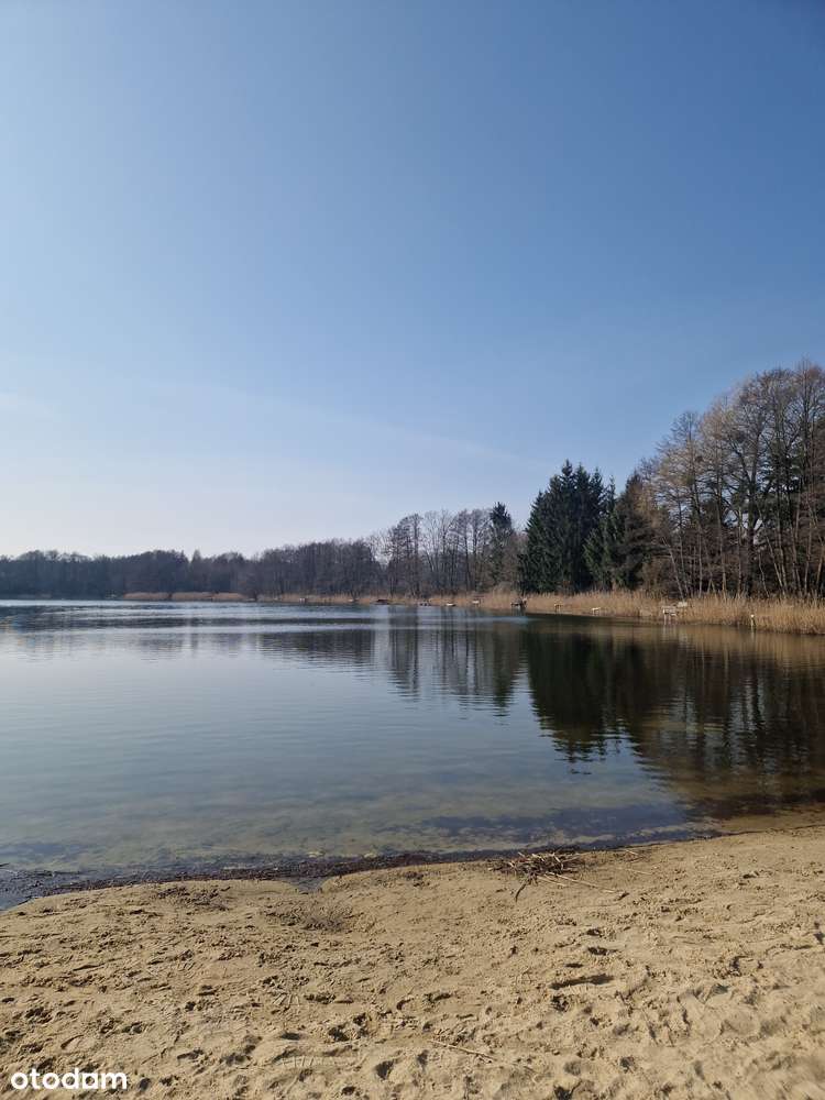 Rola pod inwestycję, Nienawiszcz ,blisko jezioro-2