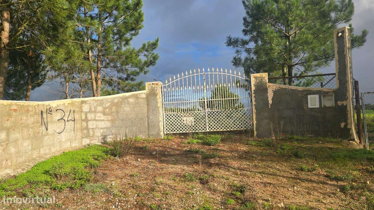 Prédio Misto com poço e pinhal, Outeiro do Bacio / Malhadas – Ramalhal - Grande imagem: 5/5