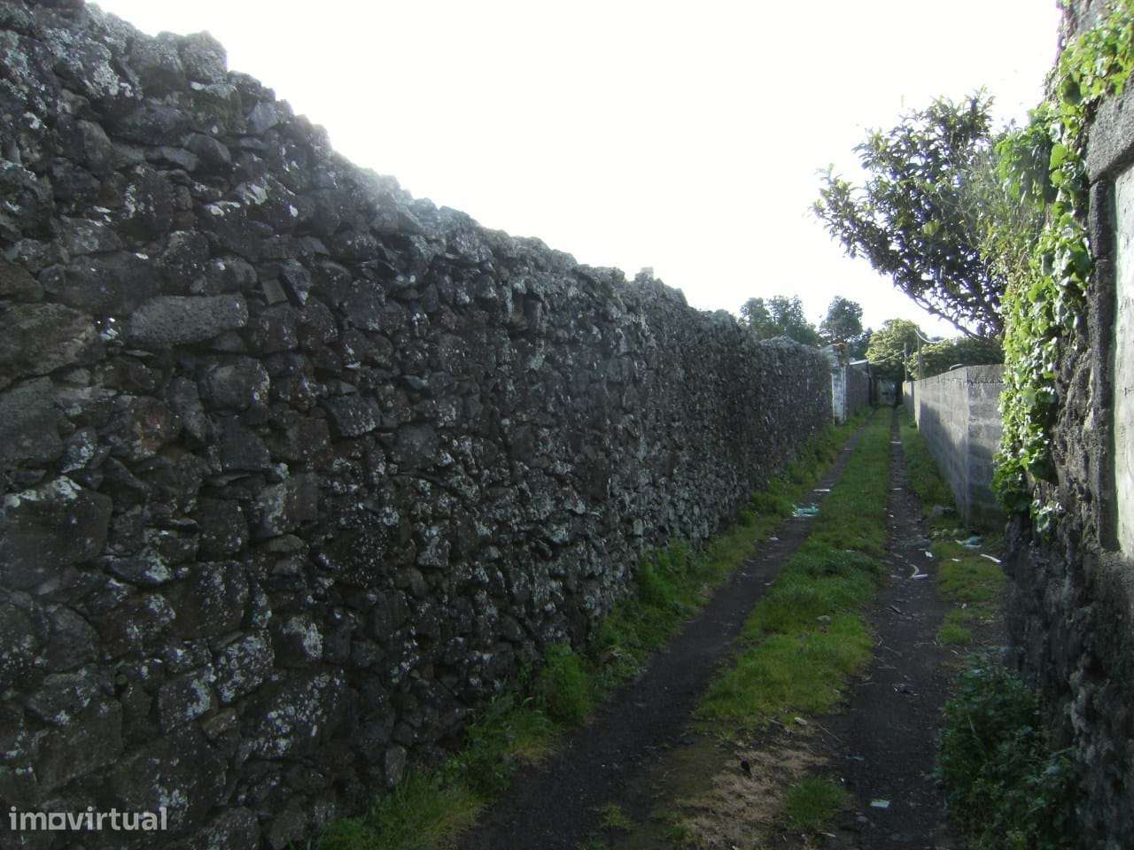Terreno Rústico em espaço urbanizável. - Grande imagem: 3/3