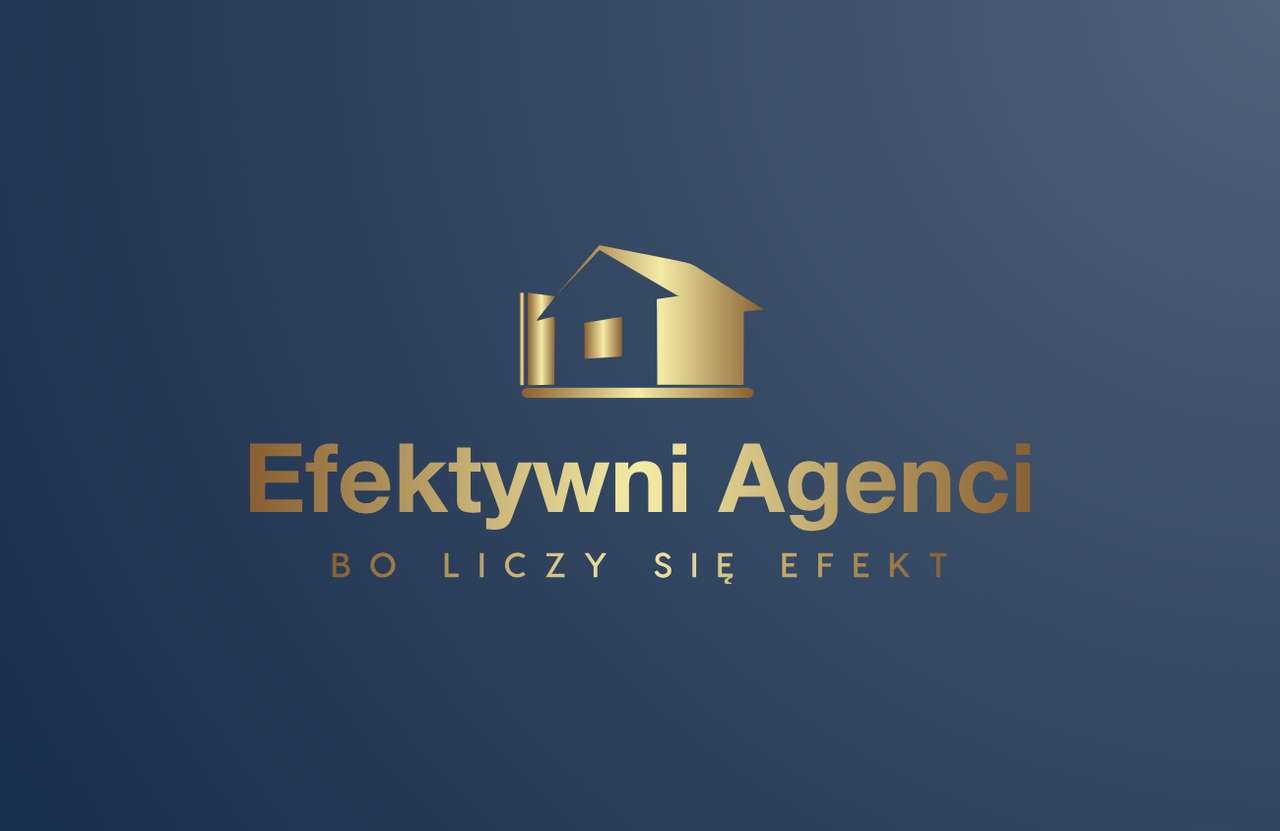 Logo: Biuro Nieruchomości Efektywni Dorota Karschnia