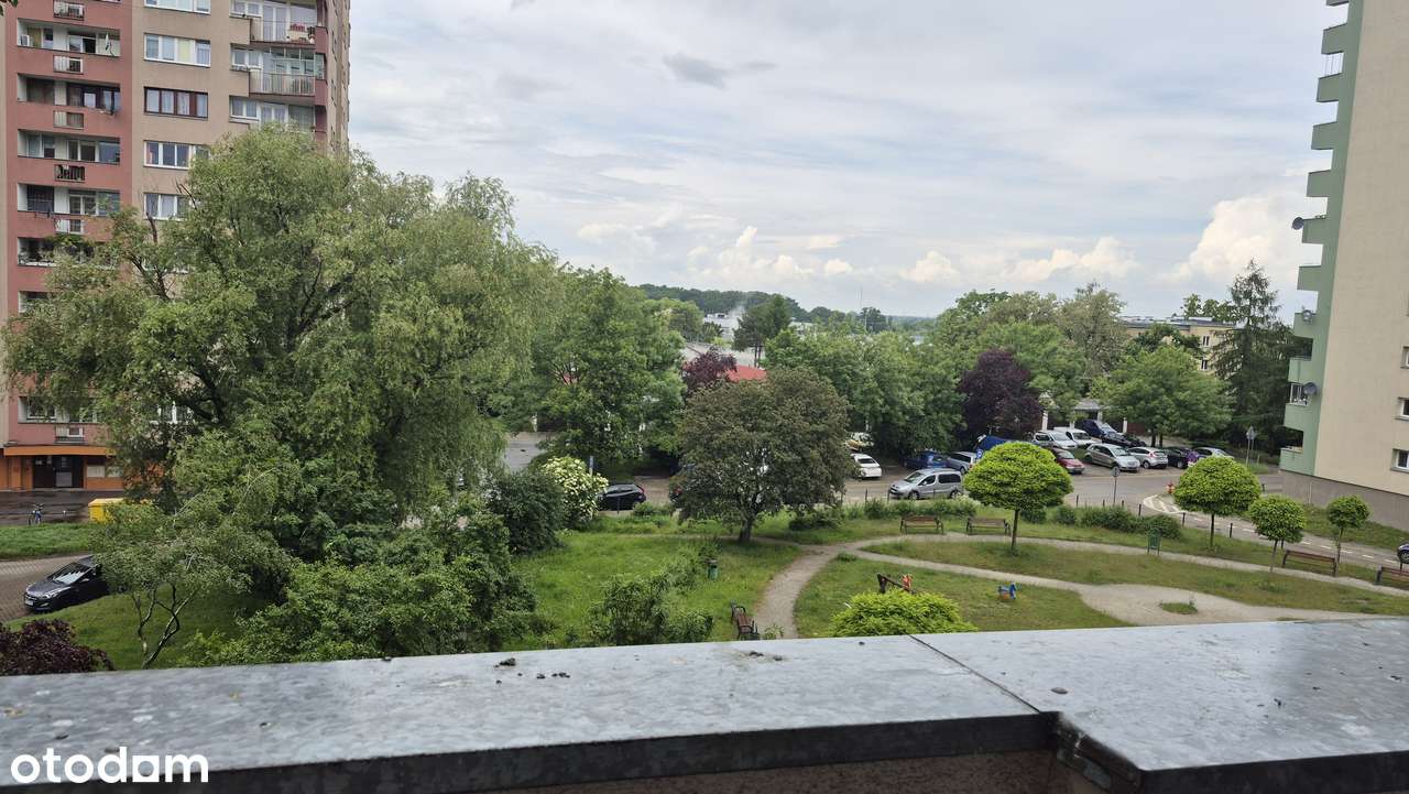 Mieszkanie na wynajem. 2 pokoje, 38.5m2, balkon. Okolice parku.