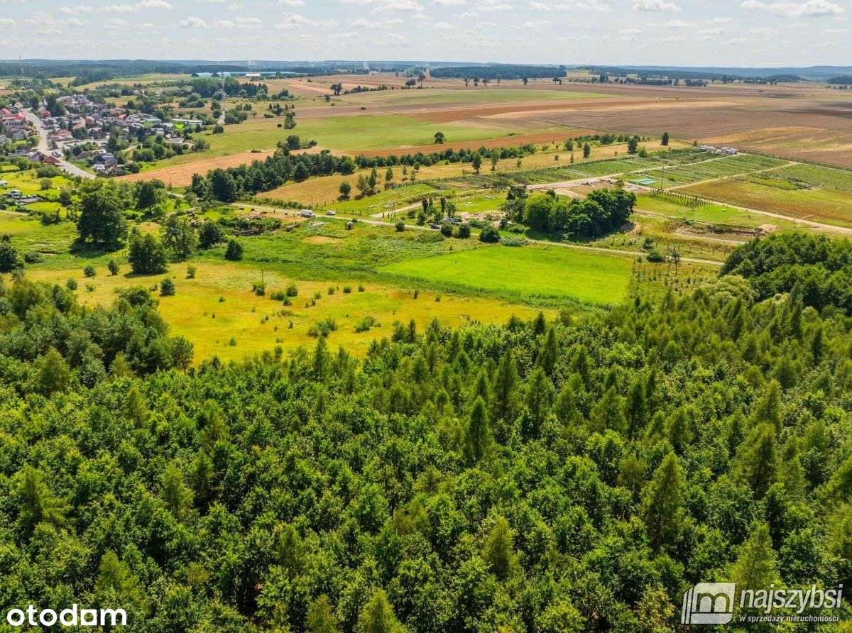 Chojna - atrakcyjna działka 2,32 ha - Pełny obrazek: 4/15
