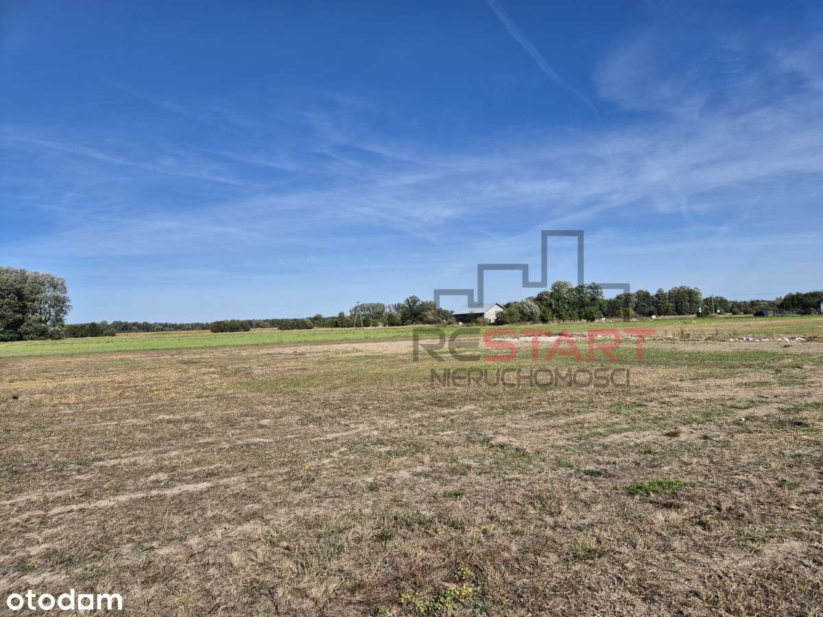 1497 m² Chyliczki | WZ | Media | 3 km Pkp - Pełny obrazek: 5/10