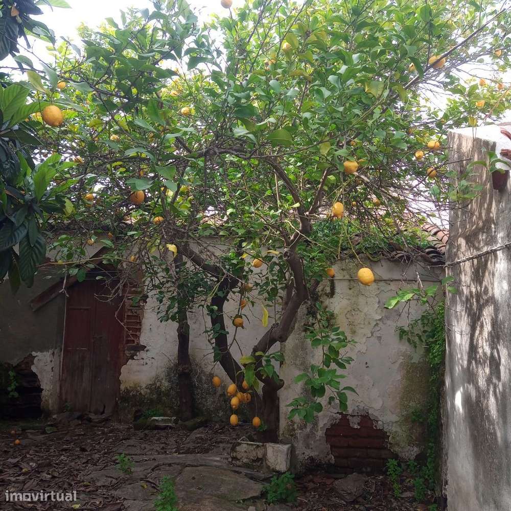 Casa Antiga em Mourão-29