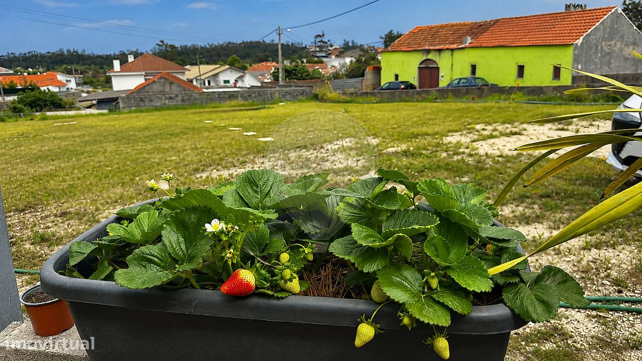 Terreno  para venda-16