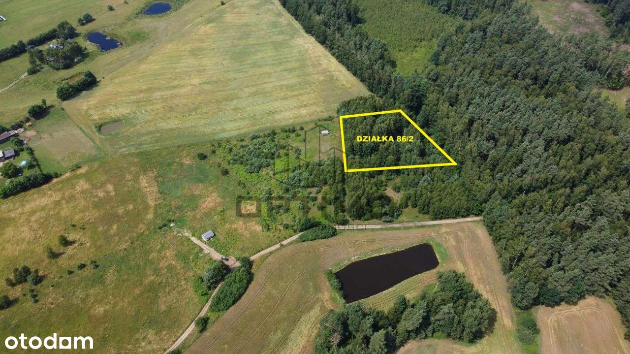 Malowniczo położona działka wśród drzew - Pełny obrazek: 4/6