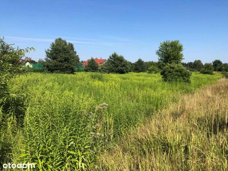 Duża działka w centrum - SUPER CENA - Pełny obrazek: 2/11