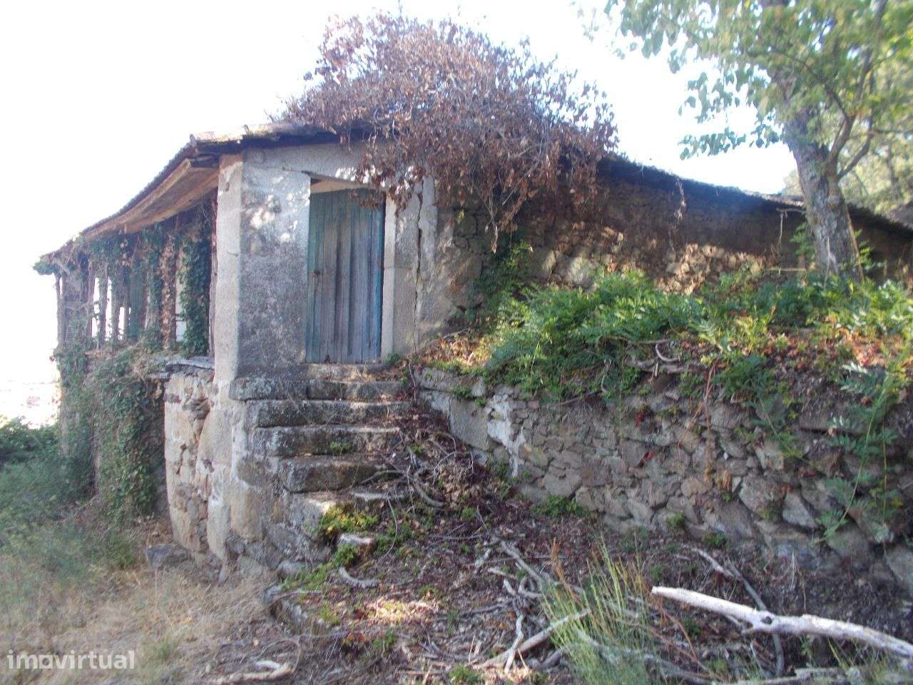 Quinta Em Chaves - Grande imagem: 4/19