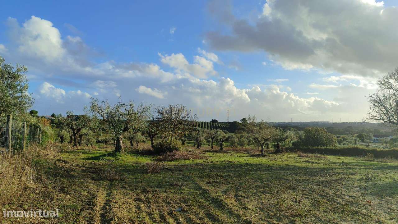 Terreno Agrícola em São Vicente do Paul, Santarém - 7080m² - Grande imagem: 5/18