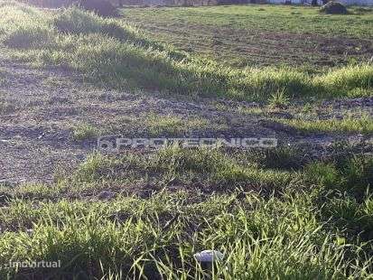 Terreno com 20m de frente - Sarrazola - Grande imagem: 5/7