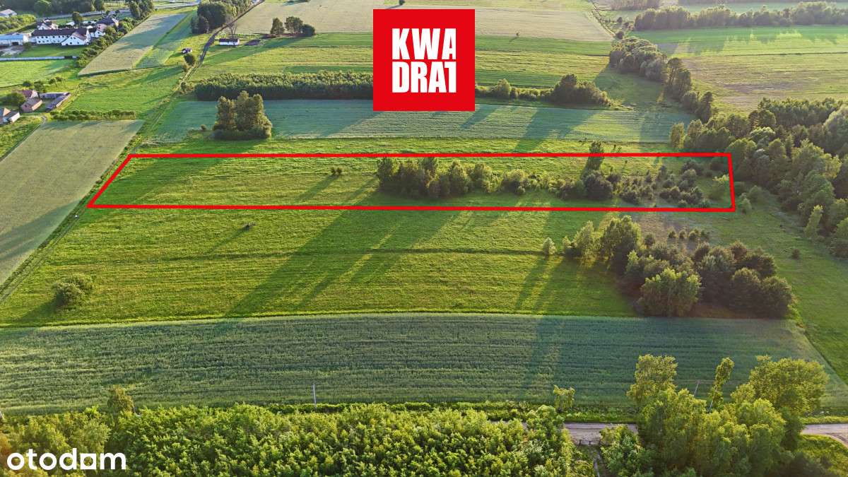 Grunt z potencjałem, rolno-zagrodowy 1,23ha, S17 - Pełny obrazek: 4/18