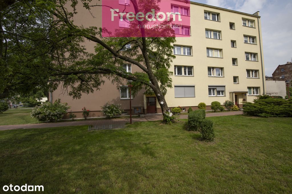 3 pokojowe mieszkanie w Brzegu