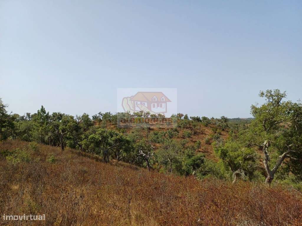 Hotel Rural: PRONTO A CONSTRUIR com todos os projectos aprovados-10