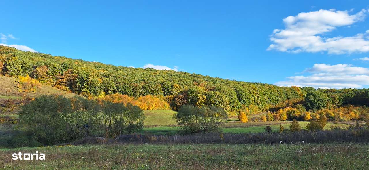 Teren intravilan 1500mp - Bozeni - Liniște și comunitate prietenoasă - Imagine principală: 3/5