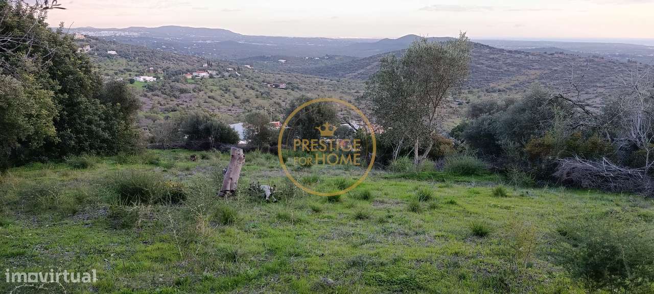 Terreno com ruina e ampla vista aberta da Picota até ao mar-6