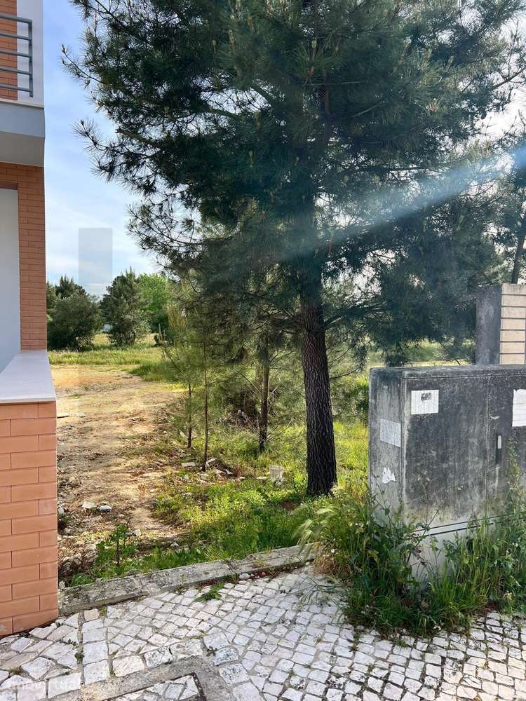 Lote Urbano de 240m2 na Rua da Barcarrota – Zona Premium da Cascalheir-3