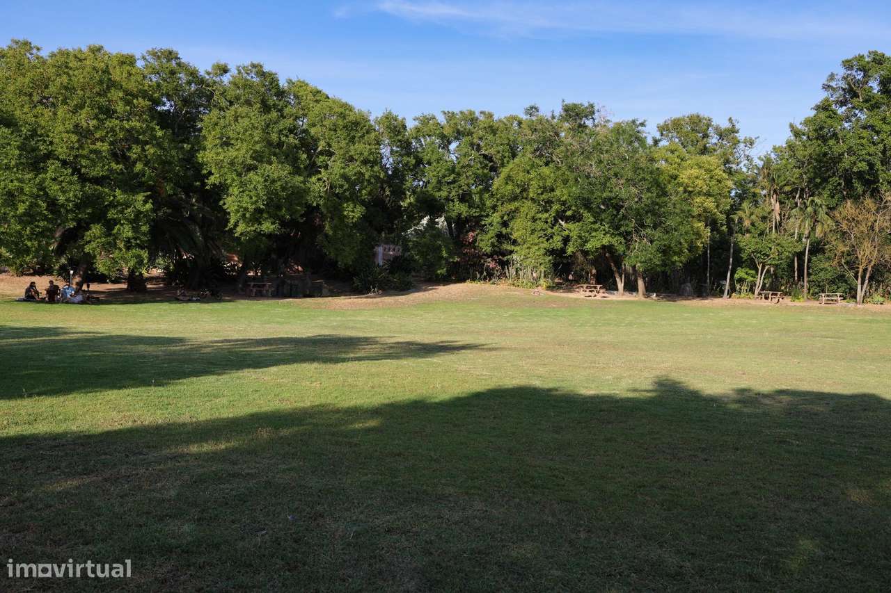 Apartamento T1 na Estrela-26