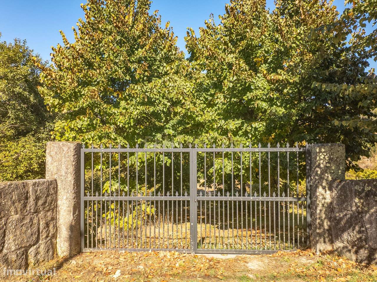 Quinta com vinha e ruína para recuperar – Grilo, Baião - Grande imagem: 4/37