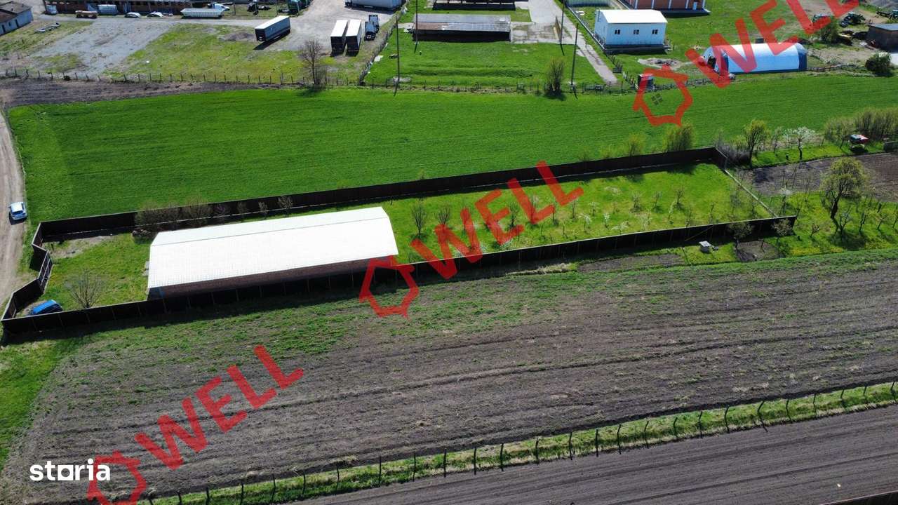 Hală industrială de vânzare în Târgu Secuiesc, pe strada Kanta! - Imagine principală: 5/10