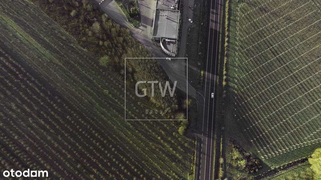 Działka Usługowa Grobice gm. Chynów 6548m2 Dk50 - Pełny obrazek: 4/9